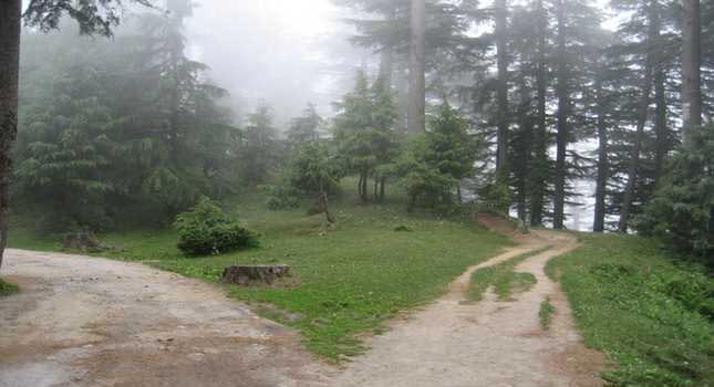 Himachal Enchants Tour