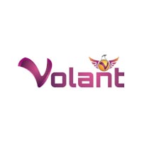 Volant Holidays and Hotels