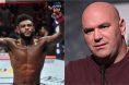 Aljamain Sterling, UFC 296, Dana White, UFC