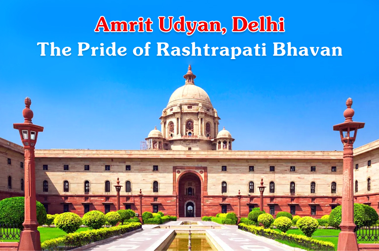 Amrit Udyan: The Pride of Rashtrapati Bhavan, Delhi Image