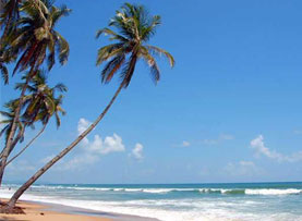 Colva Beach in Goa