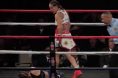 Cris Cyborg knockout