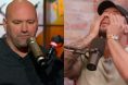 Dana White, Brendan Schaub