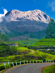 Munnar Tours