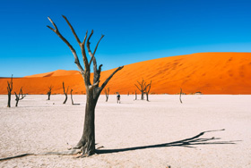 Namibia