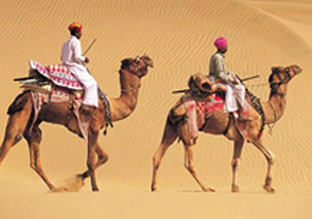 Rajasthan Tour Packages