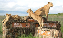 Kenya Tour Packages